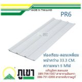 รูป 1