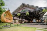 รูป 7