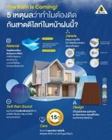 รูป 11
