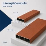 รูป 2