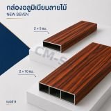 รูป 9