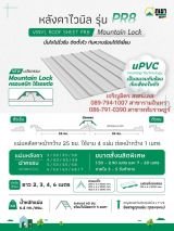 รูป 10