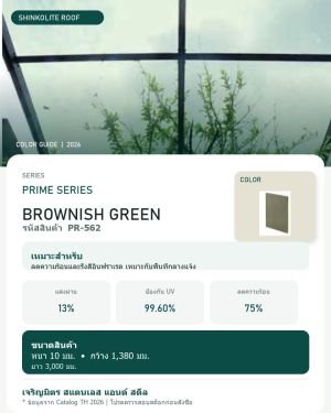 Shinkolite Prime Series Brownish Green (PR-562)